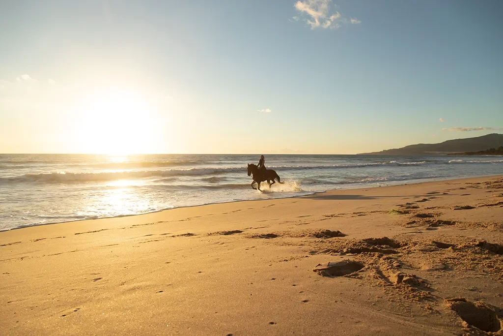 Horseback Riding at sunset in Tarifa