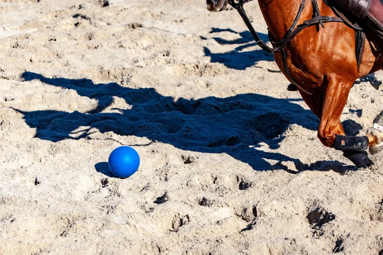 Gran Premio Atlanterra Polo