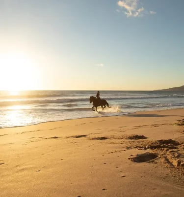 Horseback Riding at sunset in Tarifa